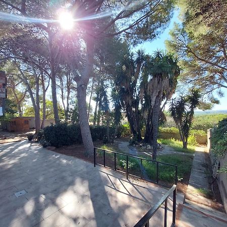 Chalet Rustico Con Piscina Y Barbacoa, Valencia Torrent  Eksteriør bilde