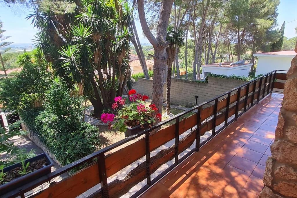 Chalet Rustico Con Piscina Y Barbacoa, Valencia Torrent  Eksteriør bilde